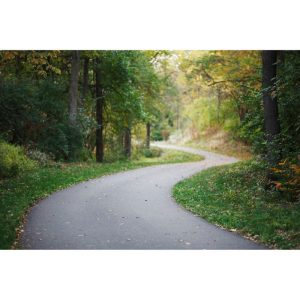 Fietsaccu reviseren